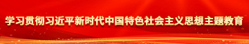 屄射精视频学习贯彻习近平新时代中国特色社会主义思想主题教育